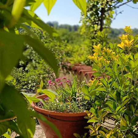 'quelle Belle Vue' D'hote Confolens